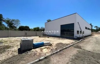 Pavilhão amplo de 450 m² com 2 banheiros e estacionamento na br 392 para alugar.