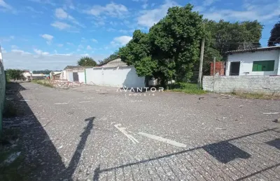 Terreno comercial para alugar na Rodovia BR-287, 900, Pinheiro Machado, Santa Maria