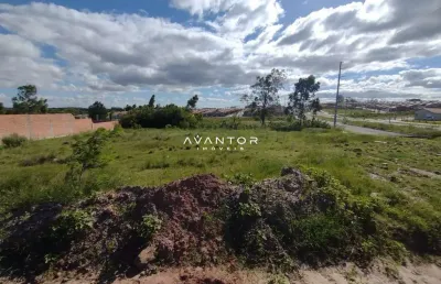Terreno à venda na Estrada Eduardo Duarte, s n, Diácono João Luiz Pozzobon, Santa Maria