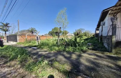 Terreno amplo em bairro tranquilo: ideal para sua casa ou comércio