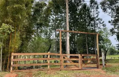 Área rural de 5282 m² em localização de fácil acesso.