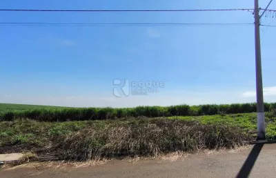Terreno à venda no Loteamento Nova Iracemápolis, Iracemápolis 