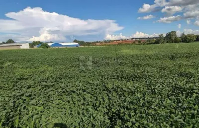 Área a venda em limeira, com ótima topografia e 45 mil metros