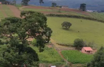 Chácara / sítio com 3 quartos à venda na Zona Rural, Caldas 