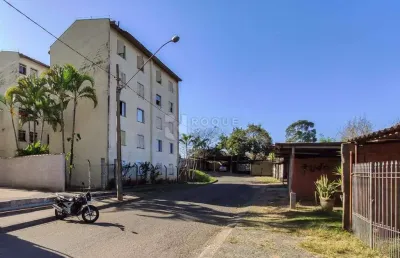 Apartamento para aluguel no bairro jardim olga veroni