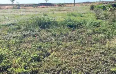 Terreno para aluguel no bairro residencial colinas do engenho i