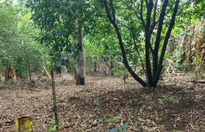 Casa com 2 quartos à venda na Vila Gioto, Limeira 
