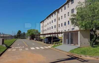 Apartamento com 3 quartos para alugar no Itaipu, Limeira 