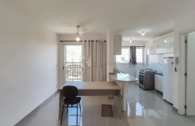 Apartamento para aluguel no bairro chácaras antonieta