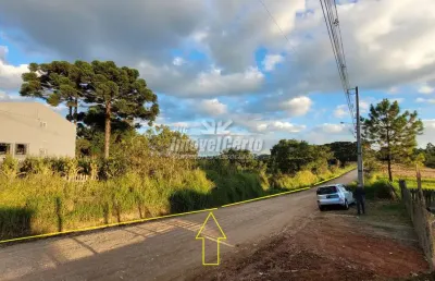 Terreno à venda na rua florindo trevisan, colônia faria, colombo por r$ 3.500.000
