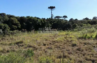 Terreno comercial à venda na rua mário dybas, 117, cidade industrial, curitiba por r$ 10.948.796