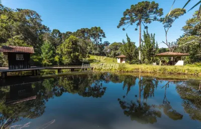 Chácara / sítio com 5 quartos à venda na rua joão lipinski, colônia murici, são josé dos pinhais, 450 m2 por r$ 6.500.000