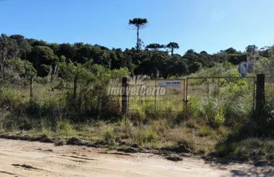 Terreno comercial à venda na rua mário dybas, 117, cidade industrial, curitiba por r$ 5.766.419