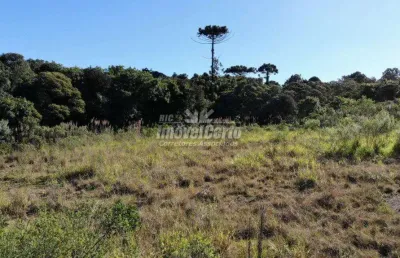 Terreno à venda na rua mário dybas, 117, cidade industrial, curitiba por r$ 3.575.000