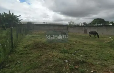 Terreno à venda, bandeirantes (pampulha) - belo horizonte/mg