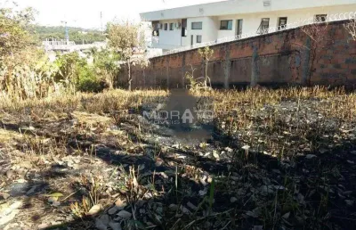 Lote - terreno à venda, são luiz - belo horizonte/mg