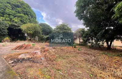 Lote à venda 380 metros quadrados, no bairro novo progresso