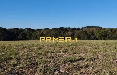 Terreno à venda na São Benedito, 155, Salgadinho, Campo Largo