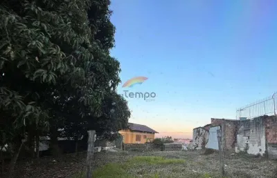 Terreno de frente para a br 116, com 340 m² de área à venda em novo hamburgo.