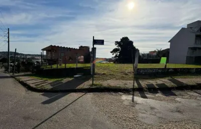 Terreno à venda no Rondônia, Novo Hamburgo 