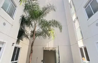 Apartamento com 2 quartos para alugar no Canudos, Novo Hamburgo 