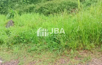 Terreno à venda na Alais De Fátima Zapf, 63, Dom Rodrigo, São José dos Pinhais