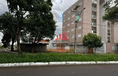 Excelente oportunidade na av brasil nova odessa- sp