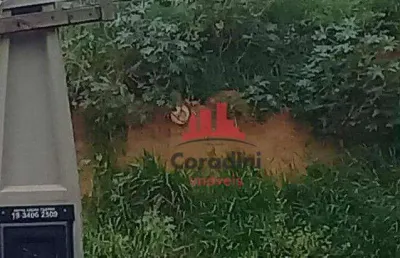 Terreno à venda, 230 m² por r$ 230.000 - jardim cândido bertini - santa bárbara d'oeste/sp