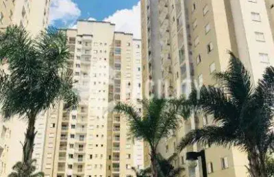 Apartamento com 2 quartos à venda na rua martinho calsavara, 192, swift, campinas, 65 m2 por r$ 555.000
