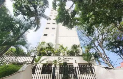 Apartamento com 4 quartos para alugar na rua barata ribeiro, 232, vila itapura, campinas, 190 m2 por r$ 5.100
