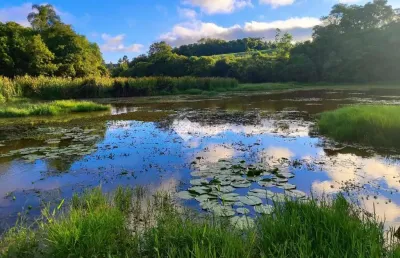 Chácara / sítio com 1 quarto à venda na avenida brasil, 1000, zona rural, são miguel arcanjo, 125598 m2 por r$ 750.000