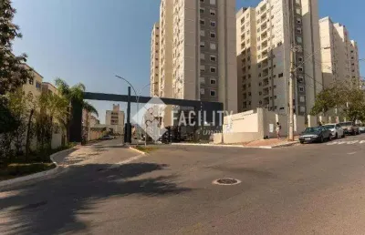 Apartamento com 2 quartos à venda na rua santa rita do passa quatro, 255, jardim nova europa, campinas, 55 m2 por r$ 450.000