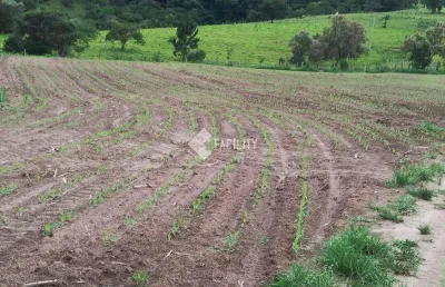 Chácara / sítio com 1 quarto à venda na rural, 555, área rural de itapetininga, itapetininga, 3291200 m2 por r$ 2.176.000