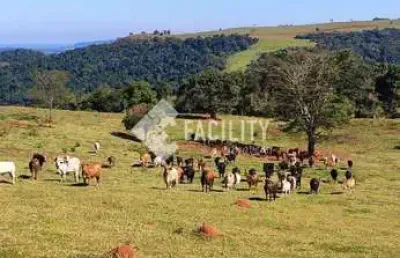Fazenda à venda na rua augusto cesar 345, 200, centro, pardinho, 1 m2 por r$ 30.000.000