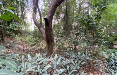 Terreno comercial à venda na Avenida Geremário Dantas, 615, Pechincha, Rio de Janeiro