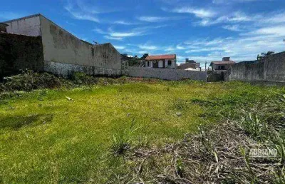 Terreno à venda, 600 m² por r$ 1.490.000,00 - capoeiras - florianópolis/sc