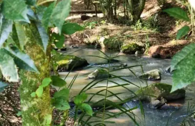 Chácara / sítio à venda na Rodovia BR 116, Frankenthal, Morro Reuter