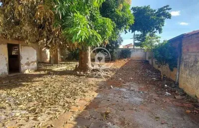 Lote 728m²  à venda, setor  vila regina, goiânia, go