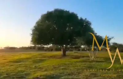 Fazenda à venda com 130.000 m² – localização privilegiada.