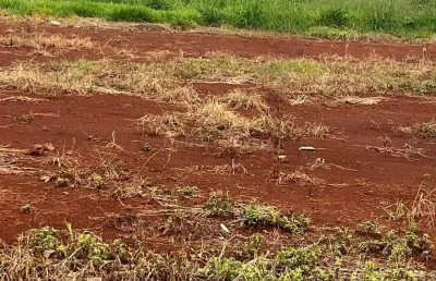 Terreno à venda no bom jardim em maringá-pr | 400 m  pronto para construir
