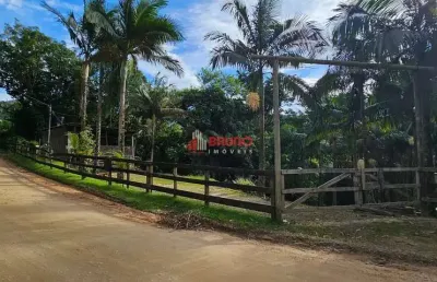 Chácara / sítio com 1 quarto à venda na Rua Pedro Leonardo Schmitz, Egito, Antônio Carlos