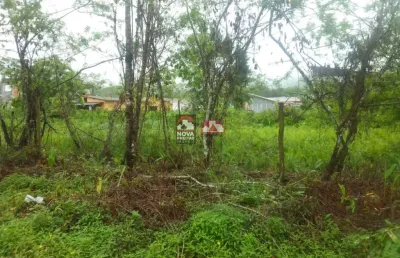 Terreno à venda na Avenida Luiz Saito, Terreno, S/N, Massaguaçu, Caraguatatuba