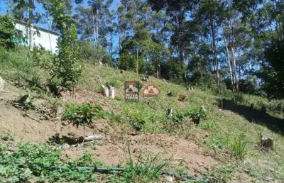 Fazenda à venda na Chácara Mãe Terra, 2130, Ponte Nova, Monteiro Lobato