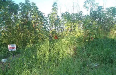 Terreno à venda na Rua dos Gerivas, 000, Parque Lago Azul, Pindamonhangaba
