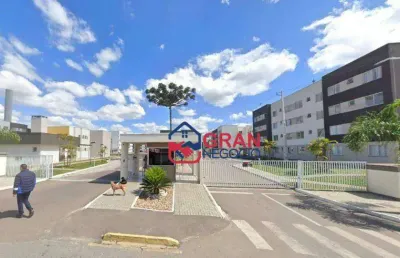 Apartamento com 2 dormitórios à venda - jardim itaqui - campo largo/pr