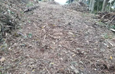 Ótimo terreno de 2231 mts²  no centro da cidade, perto de comércios locais