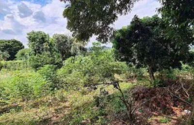 Terreno residencial à venda, pinheirinho, vinhedo - te0593.