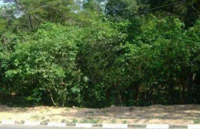 Terreno residencial à venda, vista alegre, vinhedo - te0733.