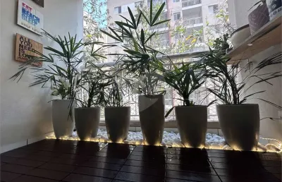 Apartamento com 3 quartos à venda em vila polopoli - sp