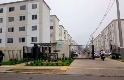 Apartamento com 2 quartos à venda na rua antônio lourenço rosa, 263, mato grande, canoas por r$ 187.000